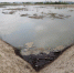 Море для «Гото Предестинации». Как изменится Воронежское водохранилище через 4 года - РИА Воронеж