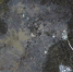 Воронежское предприятие сливает токсичные стоки прямо на землю - ГТРК