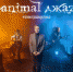 Группа Animal ДжаZ выступит в Воронеже 21 февраля - Slovosti.Ru
