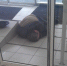 После покупки водки воронежец уснул в супермаркете и попал на фото - Bloknot-Voronezh.Ru