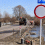 В грибановском селе вода на реке Вороне поднялась до уровня моста - Slovosti.Ru