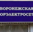 «День сурка» Воронежской горэлектросети - Slovosti.Ru