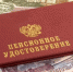 Под Воронежем женщина полгода получала пенсию за мёртвую маму - ГТРК