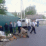 В Воронежской области за сутки зарегистрировано 173 ДТП - Communa.Ru