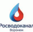 «РВК-Воронеж» отчитался перед помощником президента о затянувшейся инвестпрограмме в водоканальное хозяйство - Slovosti.Ru