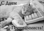 С Днем программиста
