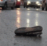 В Воронеже водитель Audi, сбивший пенсионера на большой скорости, пойдёт под суд - ГТРК