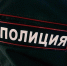 Воронежцы рассказали об оцеплении полицейскими леса в Сомово - Bloknot-Voronezh.Ru
