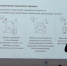 Воронежские общественники прошли семинар по получению президентского гранта - РИА Воронеж