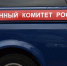 Житель Воронежской области пойдет под суд за избиение подростка деревянной битой - РИА Воронеж