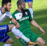 В поединке с «Томью» воронежцы проиграли 0:1 - ФК Факел