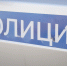 Полицейские застрелили загрызшего 2 животных питбуля в Железнодорожном районе Воронежа - РИА Воронеж