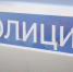 Полицейские застрелили загрызшего 2 животных питбуля в Железнодорожном районе Воронежа - Voronezh-News.Net