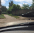 Воронежцы спалили и возненавидели установщика треног - Bloknot-Voronezh.Ru
