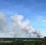Воронежцы публикуют фото крупного лесного пожара в Рамонском районе - Voronezh-News.Net