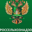 Вспышки гриппа птиц в стране прогнозируемы и обусловлены сезонностью - Россельхознадзор