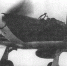 В Воронежской области нашли подбитый в 1942 году самолет и останки летчика - Voronezh-News.Net