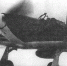 В Воронежской области нашли подбитый в 1942 году самолет и останки летчика - Bloknot-Voronezh.Ru