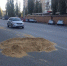 Огромный кошачий лоток посреди дороги сняли в Воронеже - Bloknot-Voronezh.Ru