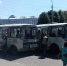 Полиция проверит на «вшивость» водителей воронежских автобусов - Voronezh-News.Net