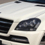 Приставы арестовали элитный Mercedes в Воронеже за долг в 74 млн - Voronezh-News.Net