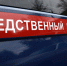 Под Воронежем женщина избила сына металлической трубой: парень скончался - РИА Воронеж