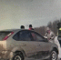 Полицейские помогли женщине с котом на воронежской трассе - Bloknot-Voronezh.Ru