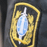 В Рамони 29-летнего мужчину арестовали на 10 суток за неуплату алиментов - РИА Воронеж