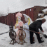 Разукрашенных девиц вылепили из снега в Воронеже - Bloknot-Voronezh.Ru