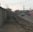 Коммунальщики с помощью деревьев толкнули воронежцев под автомобили - Voronezh-News.Net