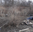 03042019001 - Департамент природных ресурсов и экологии