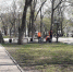 Мэрия Воронежа прокомментировала мусорное бедствие в Петровском сквере - Voronezh-News.Net