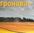 Растениеводческий холдинг «Агронова-Л» с активами в Липецкой и Тамбовской областях займется зернотрейдингом - Abireg.Ru