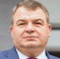 Экс-министр обороны Анатолий Сердюков возглавил совет директоров головной структуры Воронежского авиазавода - Abireg.Ru