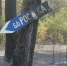 В развале воронежской турбазы «Росинка» разберутся правоохранители - Voronezh-News.Net