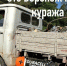 Легендарный УАЗ нелепо скрестили c Duracell в Воронеже - Bloknot-Voronezh.Ru