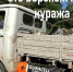 Легендарный УАЗ нелепо скрестили c Duracell в Воронеже - Voronezh-News.Net