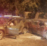 В Воронеже в ДТП с участием двух автомобилей пострадали три человека, в том числе двухлетний ребёнок - Voronezh-News.Net