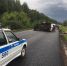 Смерть и деньги на воронежской трассе - Voronezh-News.Net