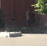 Парней со спущенными штанами застали за странным занятием в центре Воронежа - Voronezh-News.Net