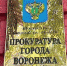 В Лискинский районный суд направлено уголовное дело в отношении матери и отчима, издевавшихся над малолетним ребёнком - Slovosti.Ru