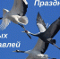 Инфозавтрак 22 октября. Яков Дровопилец. «Белые журавли» - Voronezh-News.Net