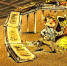 Группировка, разоряющая воронежские сельхозкомпании, переключилась на их партнеров - Voronezh-News.Net