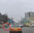 Фартовый пешеход-сайгак поиграл на нервах воронежских водителей - Bloknot-Voronezh.Ru