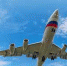 Воронежский авиазавод отдал на окончательную сборку первый «Ил-96-400М» - Slovosti.Ru