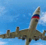 Воронежский авиазавод снова попробует найти станки для «Ил-96-400М» - Slovosti.Ru