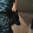 vlcsnap-2020-02-04-10h02m13s183 - ГУ МВД Воронежской области