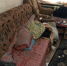 IMG-20200203-WA0002 - ГУ МВД Воронежской области