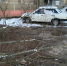 19 деревьев упало из-за ночной непогоды в Воронеже - Voronezh-News.Net
