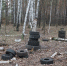 «Зеленый щит» Воронежа утопает в строительном мусоре - Voronezh-News.Net